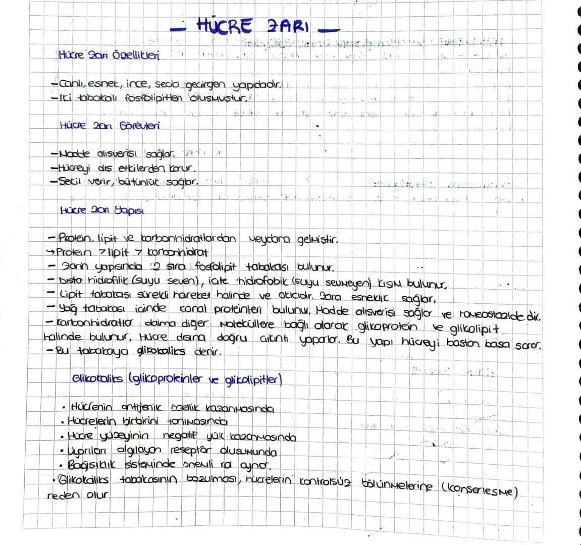 _
HÜCRE ZARI _
Hücre zan Özelliklen
-canlı, esnek, ince, seabi geçirgen yapıdadır.
- Iki tobokali fosfolipitten olusmustur,
Hücre zan Görevl
