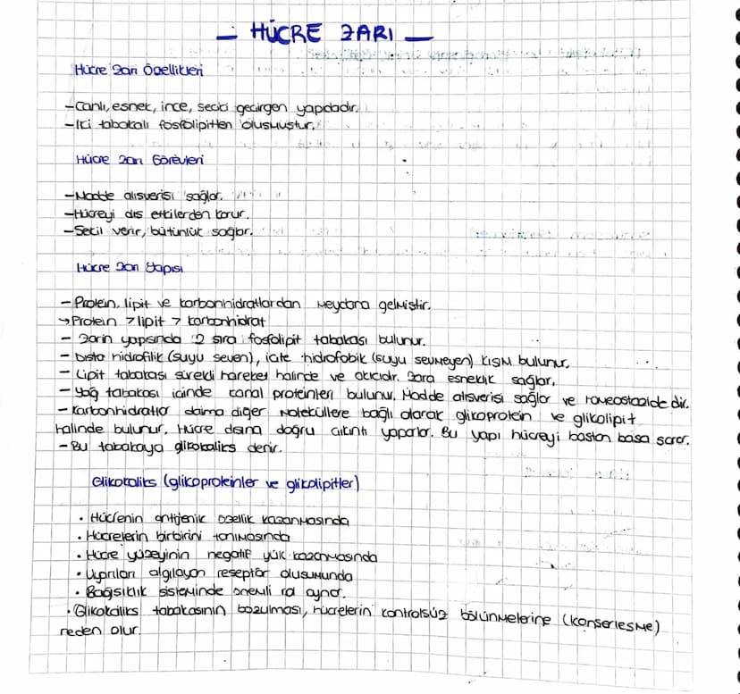 _
HÜCRE ZARI _
Hücre zan Özelliklen
-canlı, esnek, ince, seabi geçirgen yapıdadır.
- Iki tobokali fosfolipitten olusmustur,
Hücre zan Görevl
