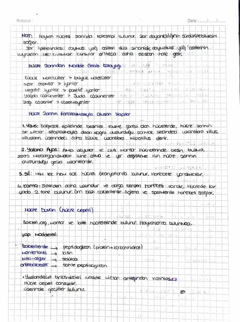 _
HÜCRE ZARI _
Hücre zan Özelliklen
-canlı, esnek, ince, seabi geçirgen yapıdadır.
- Iki tobokali fosfolipitten olusmustur,
Hücre zan Görevl