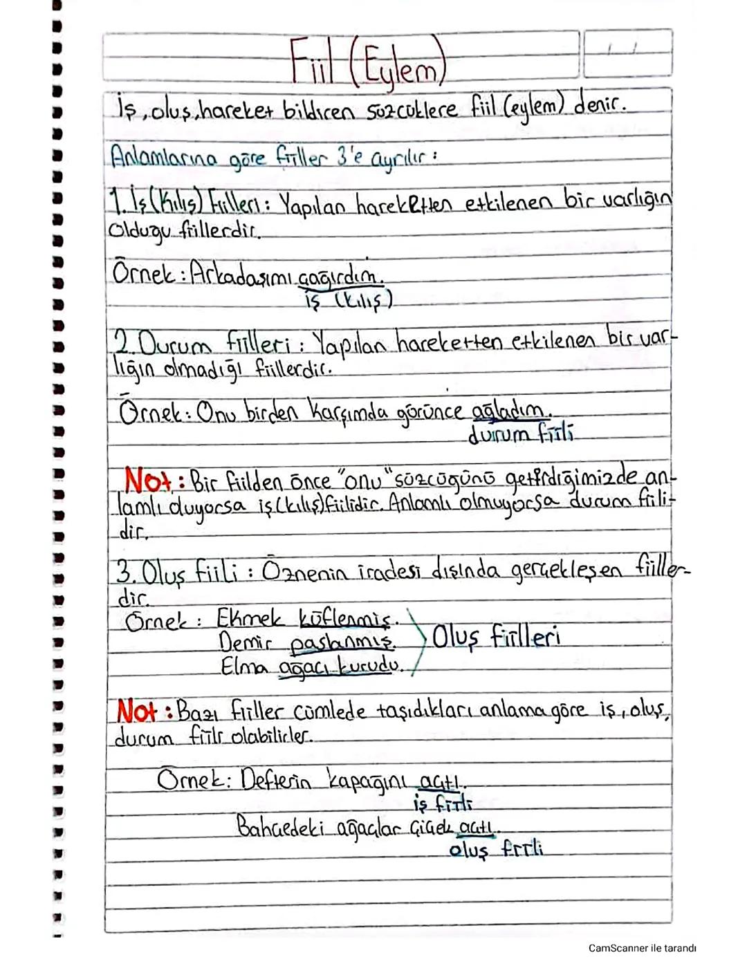 Fiil Nedir ve Örnekler