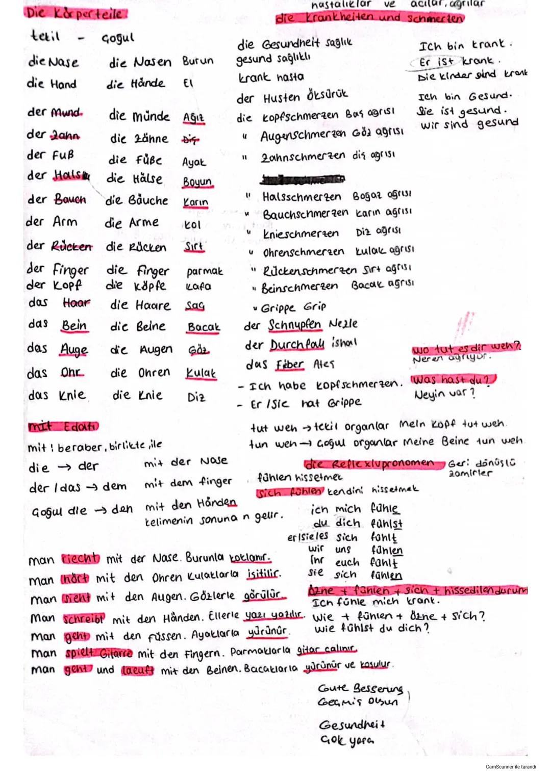 Die Körperteile
tetil
çoğul
die Nasen Burun
die Hände ΕΙ
hastalıklar ve
acılar, agrilar
die krankheiten und schmerten
die Gesundheit sağlık
