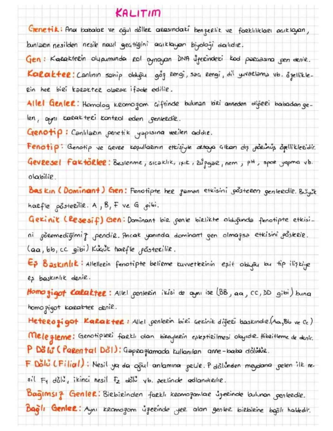 TYT BİYOLOJİ KALITIM