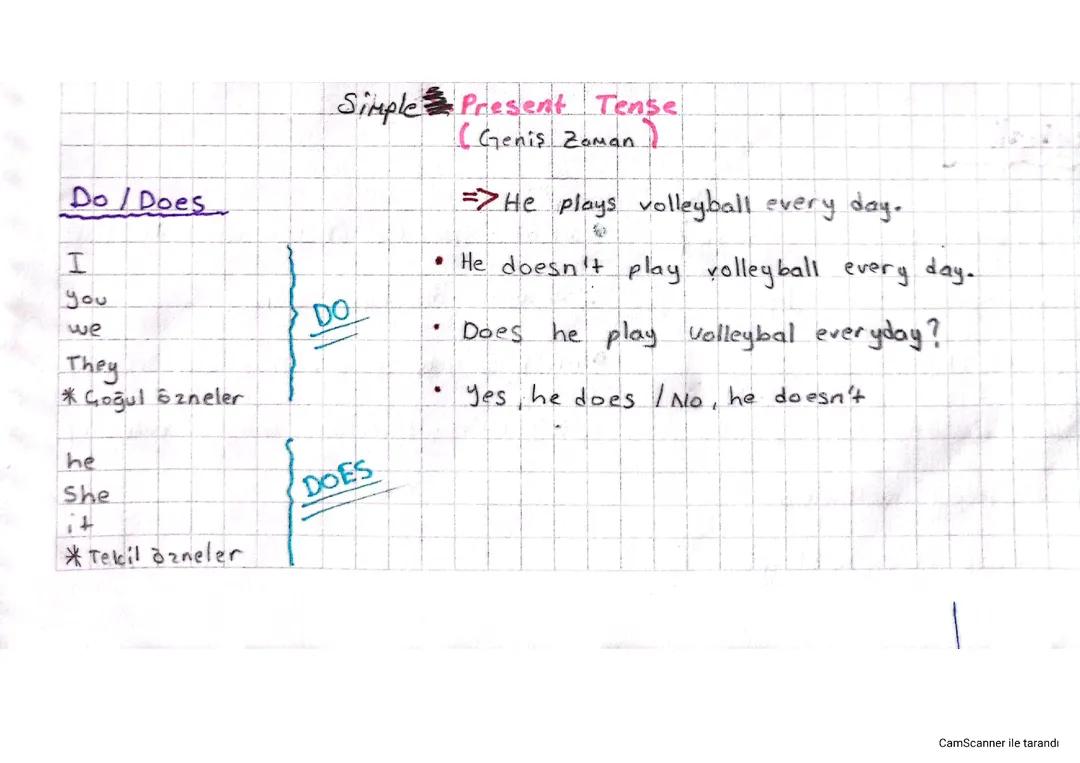 Simple present tense