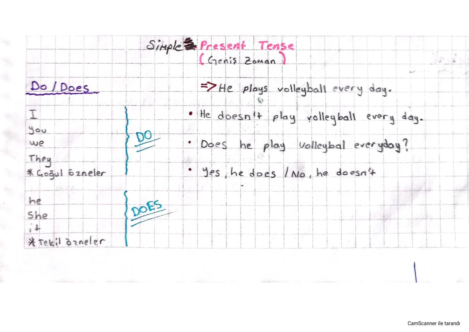 Do/Does
I
you
we
They
*Goğul zneler
he
She
it
Tekil azneler
Simple Present Tense
DO
(Genis Zoman)
=> He plays volleyball every day.
• He doe