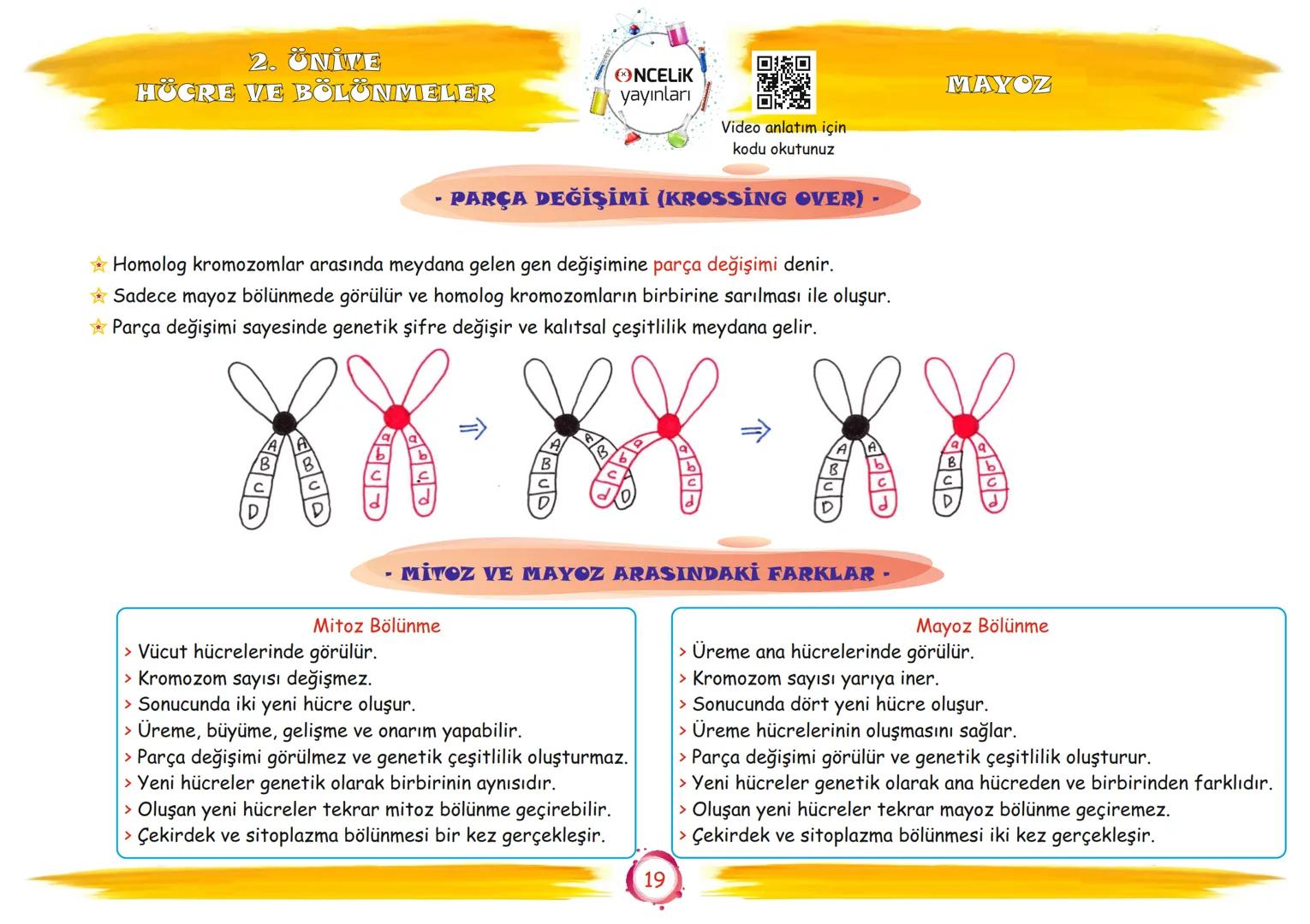 # 7. Sınıf

# Konu Anlatımları

## 2. Ünite

## Hücre ve Bölünmeler

Fen Ogromnenn

En Eglomera ve En Kelay
You

EnBasit Fen

ŞİRİN ALTINTAŞ