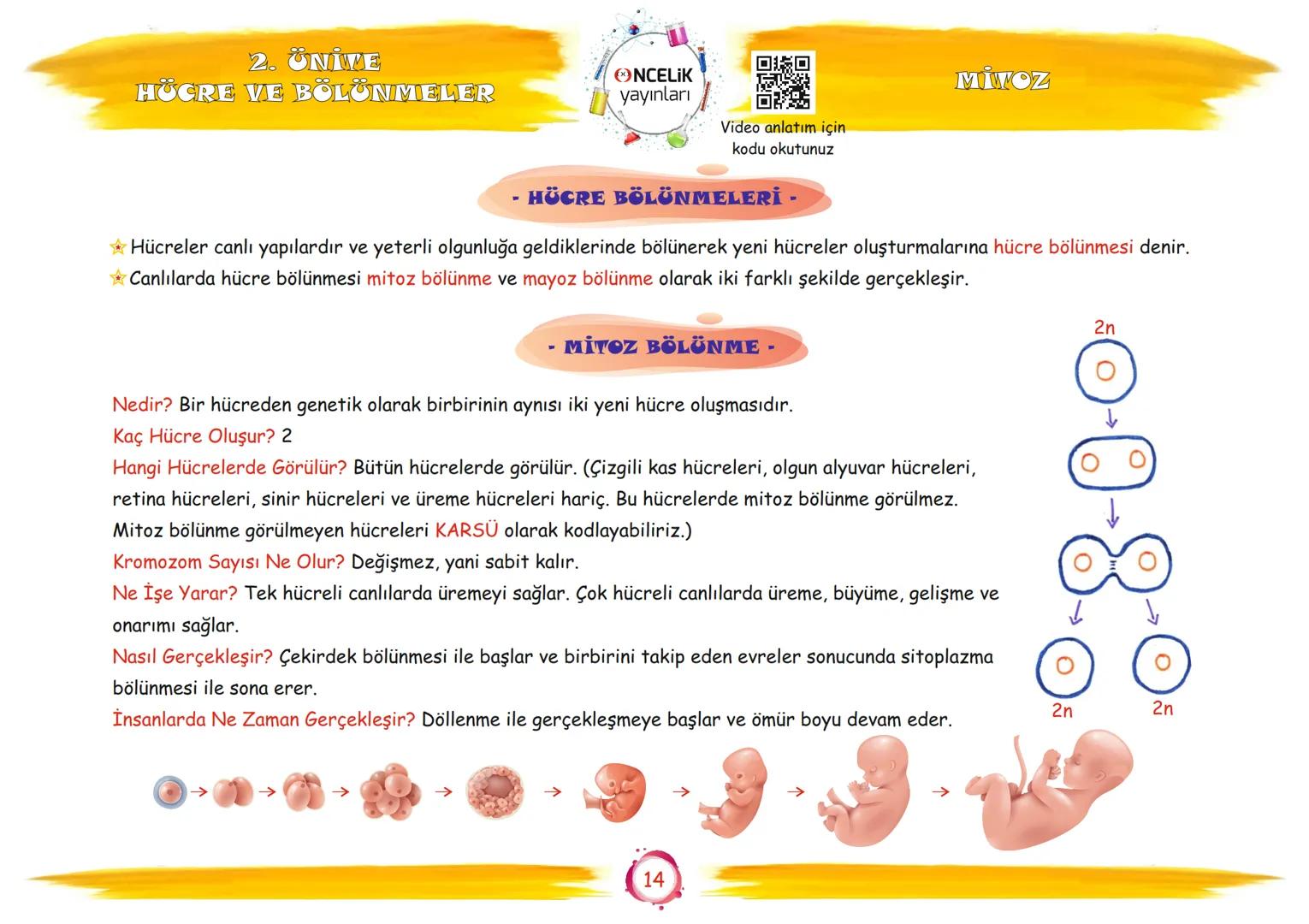 # 7. Sınıf

# Konu Anlatımları

## 2. Ünite

## Hücre ve Bölünmeler

Fen Ogromnenn

En Eglomera ve En Kelay
You

EnBasit Fen

ŞİRİN ALTINTAŞ