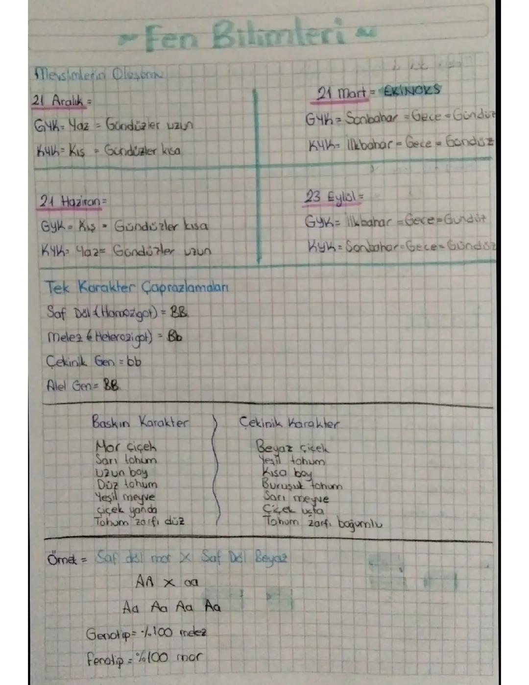8.sınıf Fen Bilimleri mevsimler ve DNA 