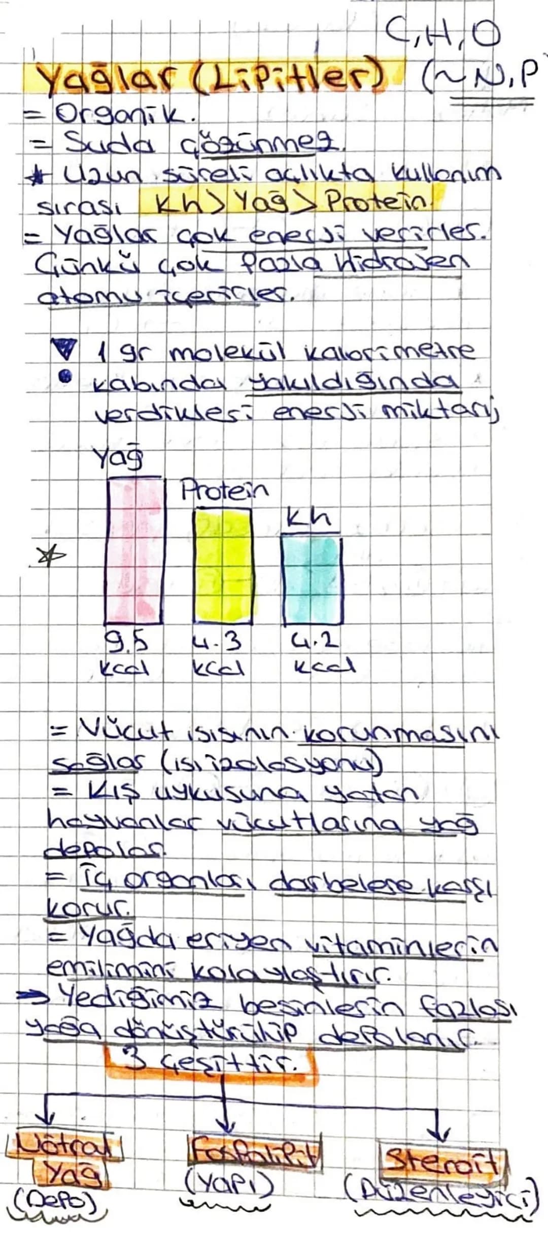 CH,O
Yağlar (Lipitler) (~~N.P
= Organik.
= Suda çözünmer.
# 42un süreli açlıkta kullanım
sirasi Kh) Yağ Protein.
= Yağlar çok enerji vesicle