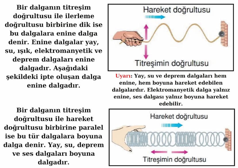 DALGALARIN SINIFLANDIRILMASI
DALGALAR
Titreşim Doğrultularına Göre
Enine
Dalgalar
Yay dalgası
Su dalgası
Elektromanyetik dalga
Deprem dalgas