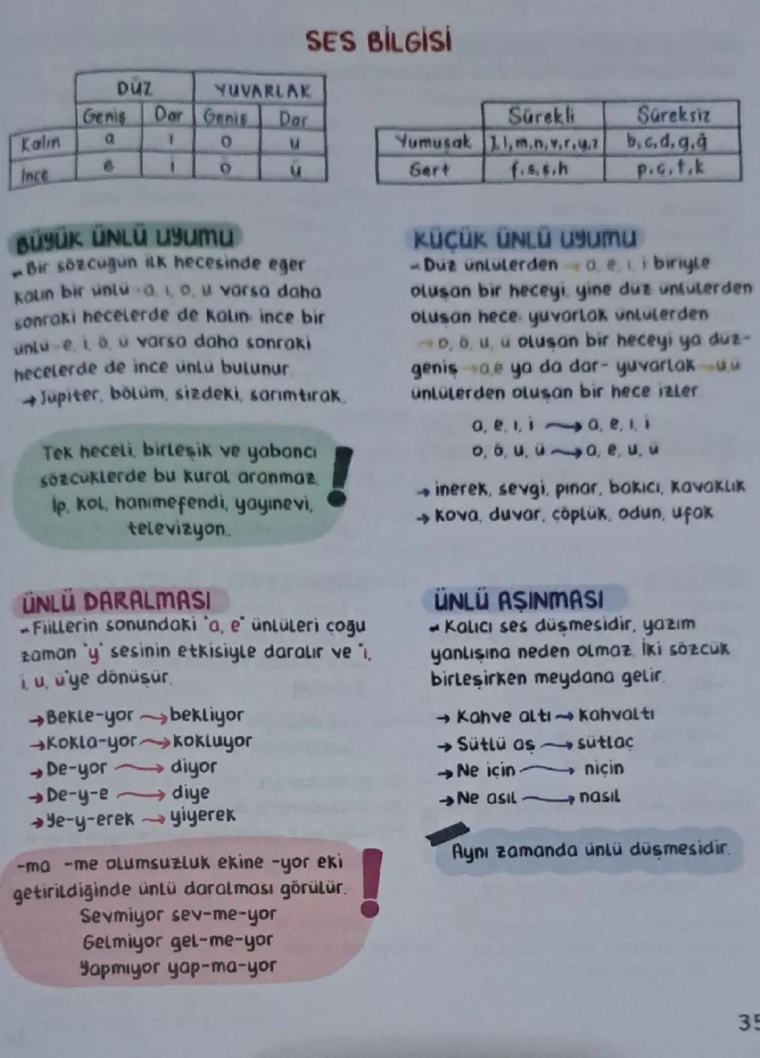 TYT Türkçe Ses Bilgisi: Özet Notlar ve Çözümler
