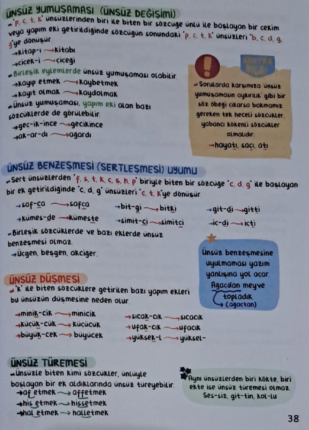 # SES BİLGİSİ

|       | DÜZ       | YUVARLAK     |       |       |
| :---- | :--------- | :----------- | :---- | :------ |
|       | Genis 