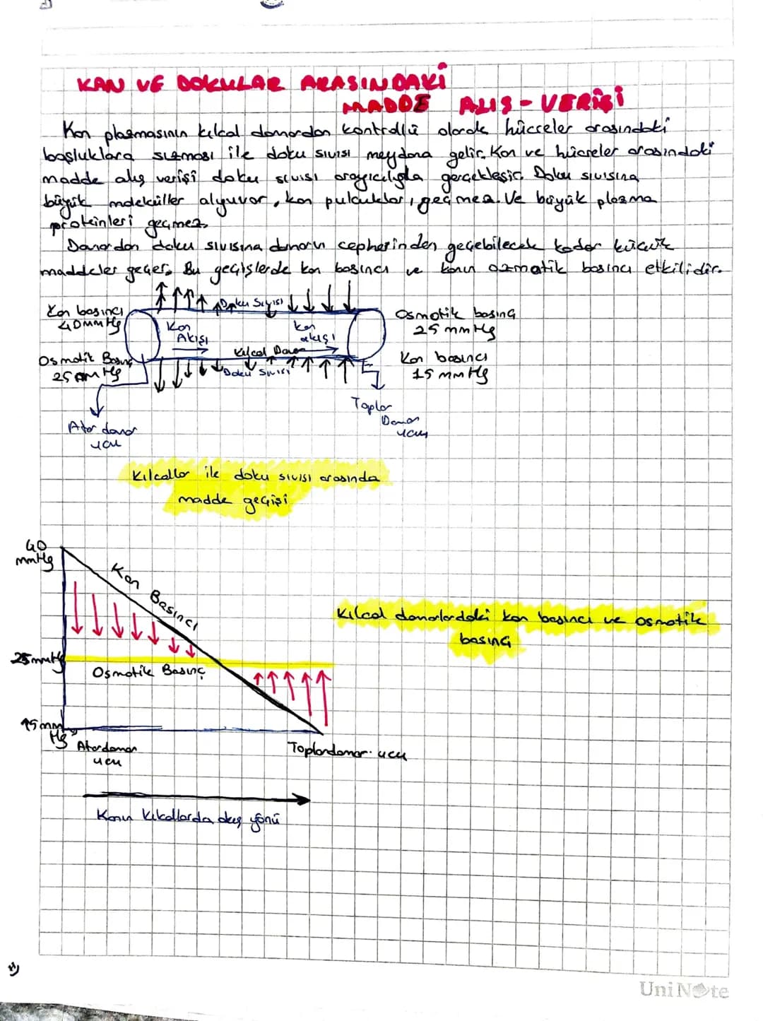 Subject:
Date :/.
• UYARI - Dynamed ine
you oyad
• eklemlerde ekten kopsülü ve sinovlyol Siul
bulunmas
II. Kas Sistemi
1- Horekati sağlamak
