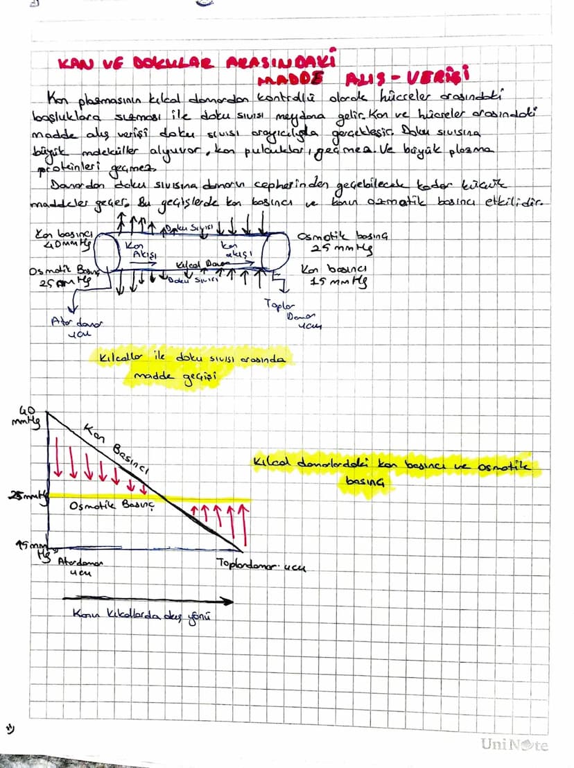 Subject:
Date :/.
• UYARI - Dynamed ine
you oyad
• eklemlerde ekten kopsülü ve sinovlyol Siul
bulunmas
II. Kas Sistemi
1- Horekati sağlamak
