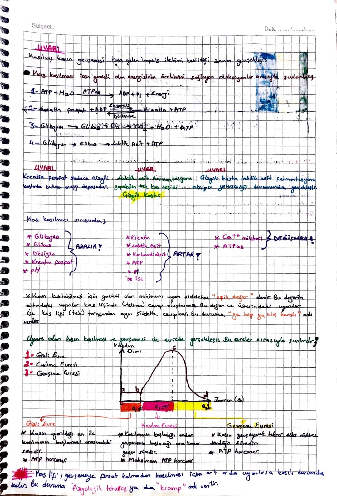 Subject:
Date :/.
• UYARI - Dynamed ine
you oyad
• eklemlerde ekten kopsülü ve sinovlyol Siul
bulunmas
II. Kas Sistemi
1- Horekati sağlamak
