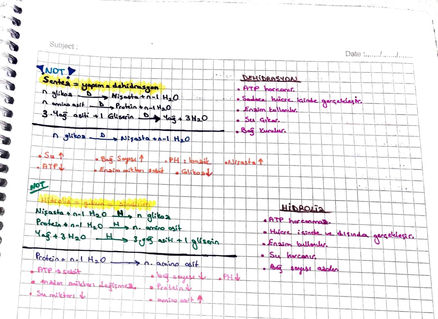 Subject:
Date :/.
• UYARI - Dynamed ine
you oyad
• eklemlerde ekten kopsülü ve sinovlyol Siul
bulunmas
II. Kas Sistemi
1- Horekati sağlamak
