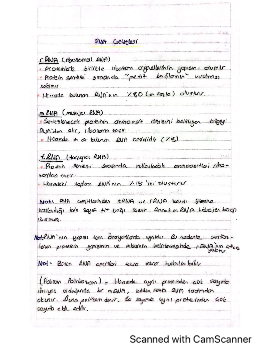 AYT Biyoloji RNA çeşitleri 