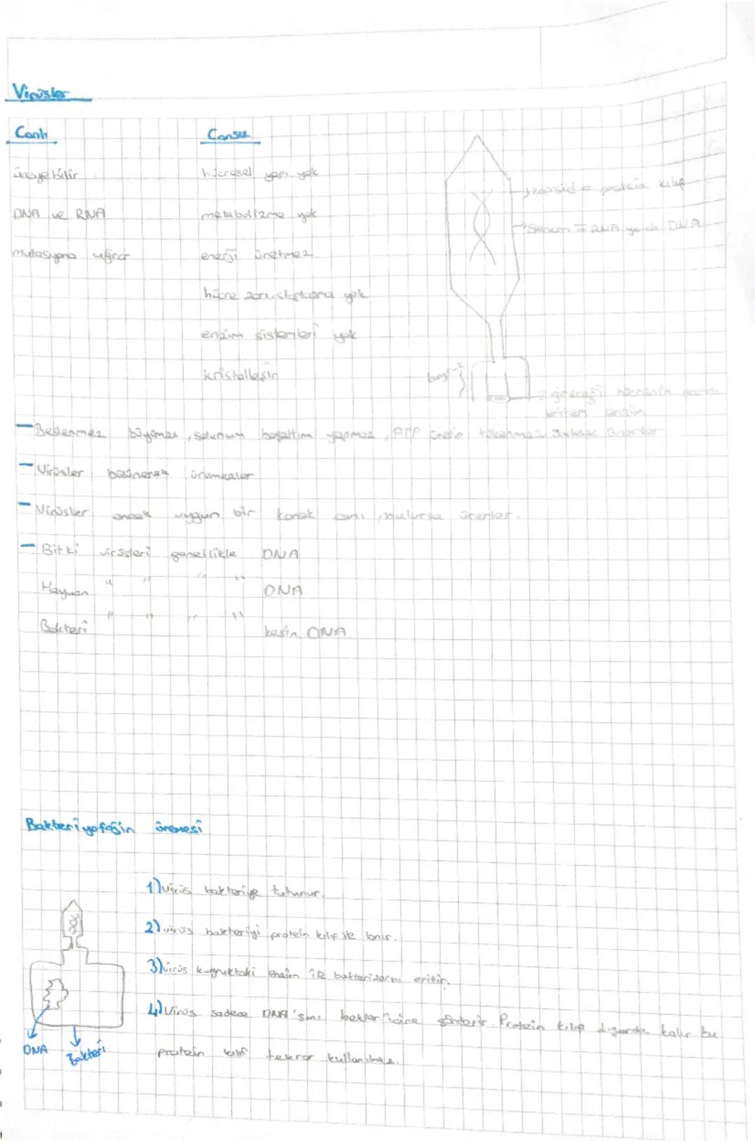 7999449TTTTTTTTTTTTT
Biyolojinin Donum Noktaları
Akşemseddin : Typ tarihinde mikroorganizmaların rolunu ilk defa ortaya koyan
ve hastalıklar