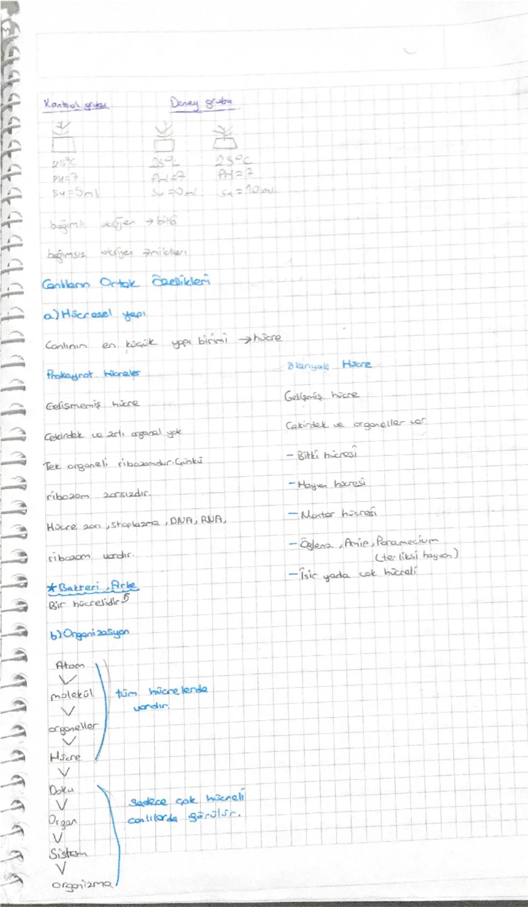 7999449TTTTTTTTTTTTT
Biyolojinin Donum Noktaları
Akşemseddin : Typ tarihinde mikroorganizmaların rolunu ilk defa ortaya koyan
ve hastalıklar