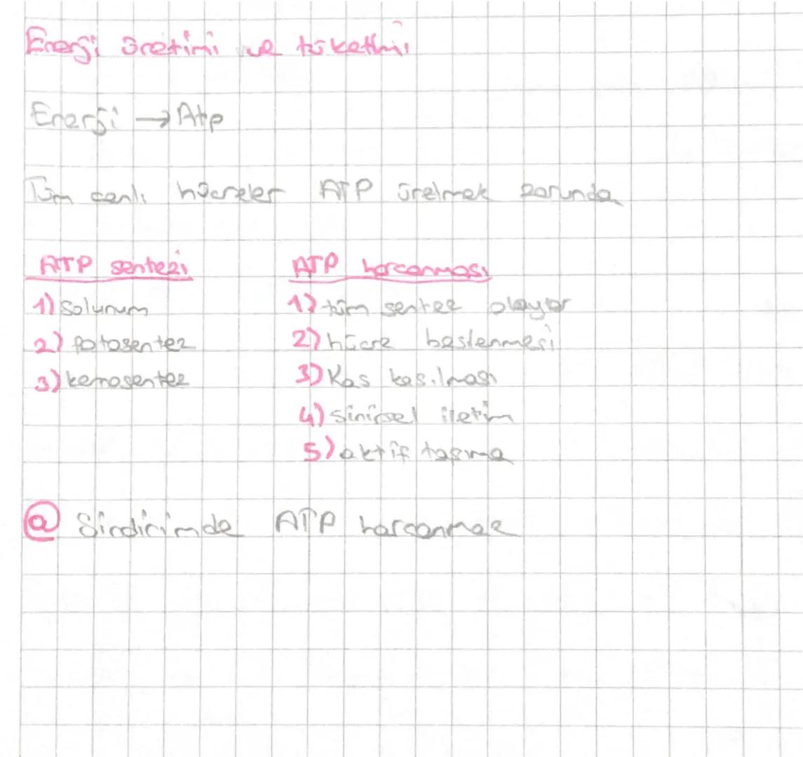 7999449TTTTTTTTTTTTT
Biyolojinin Donum Noktaları
Akşemseddin : Typ tarihinde mikroorganizmaların rolunu ilk defa ortaya koyan
ve hastalıklar