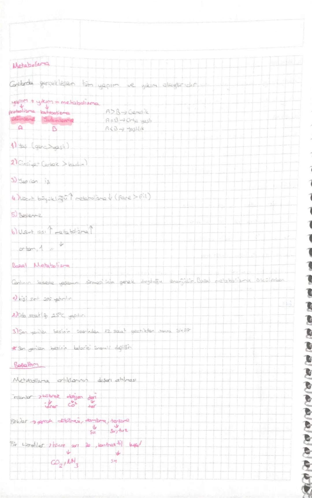 7999449TTTTTTTTTTTTT
Biyolojinin Donum Noktaları
Akşemseddin : Typ tarihinde mikroorganizmaların rolunu ilk defa ortaya koyan
ve hastalıklar