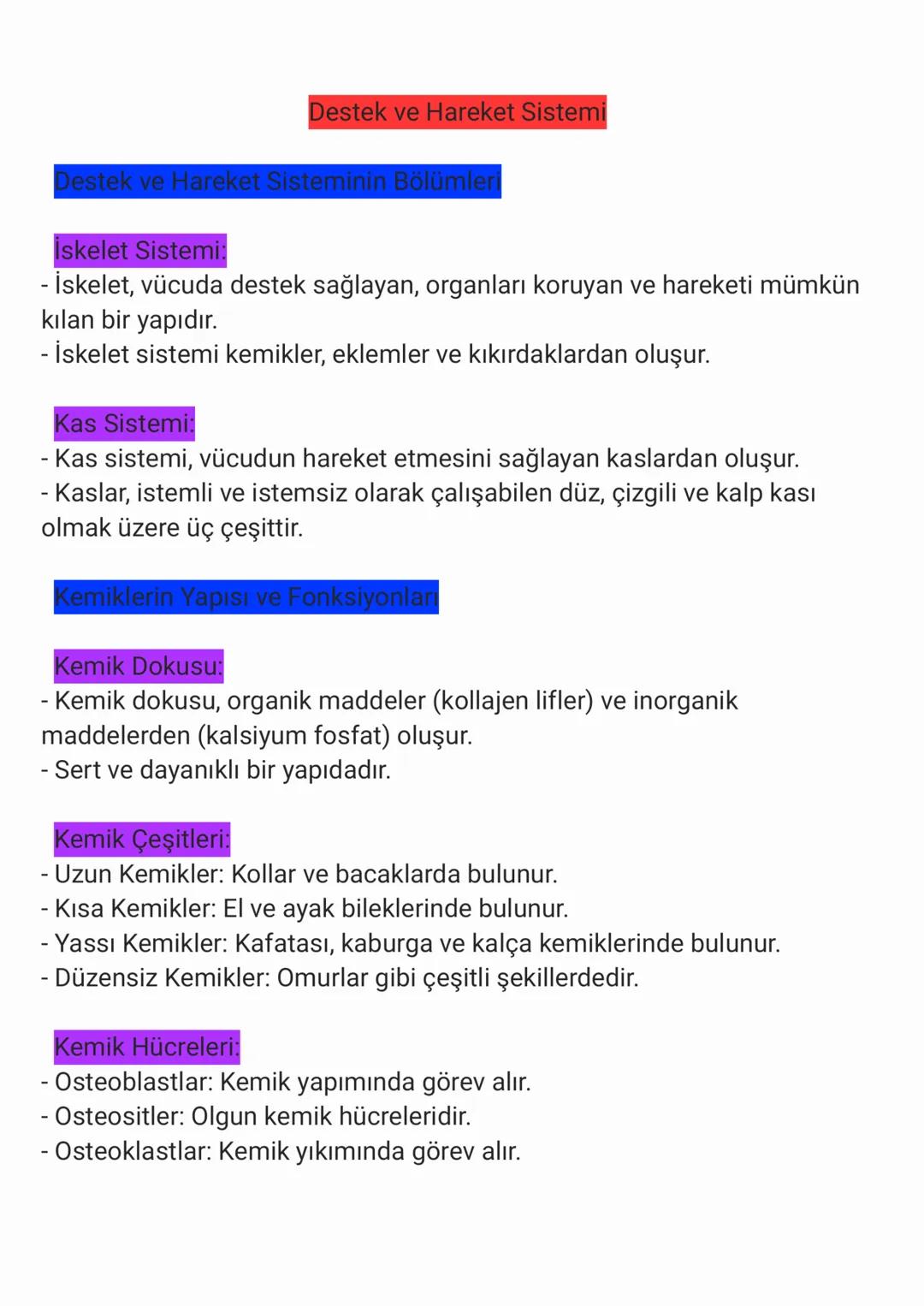 Destek ve Hareket Sistemi
Destek ve Hareket Sisteminin Bölümleri
İskelet Sistemi:
- İskelet, vücuda destek sağlayan, organları koruyan ve ha