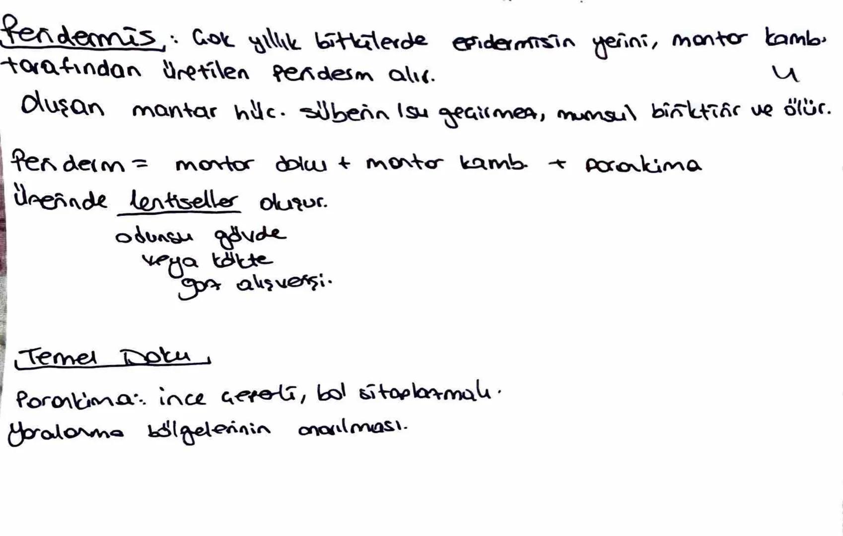 * Meristem doku bitkinin sınırsız büyümesini sağlar.
Temel doku, iletim doku, biti doku; meristemin, forklarma-
sıyla oluşur.
Ua meristem: B