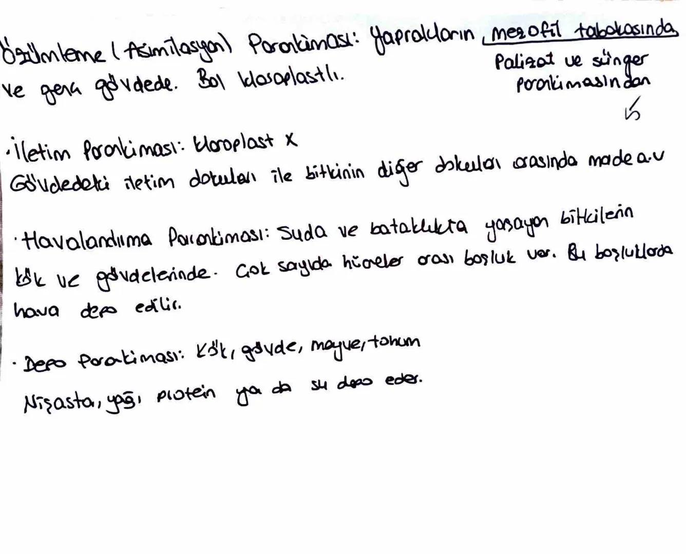 * Meristem doku bitkinin sınırsız büyümesini sağlar.
Temel doku, iletim doku, biti doku; meristemin, forklarma-
sıyla oluşur.
Ua meristem: B