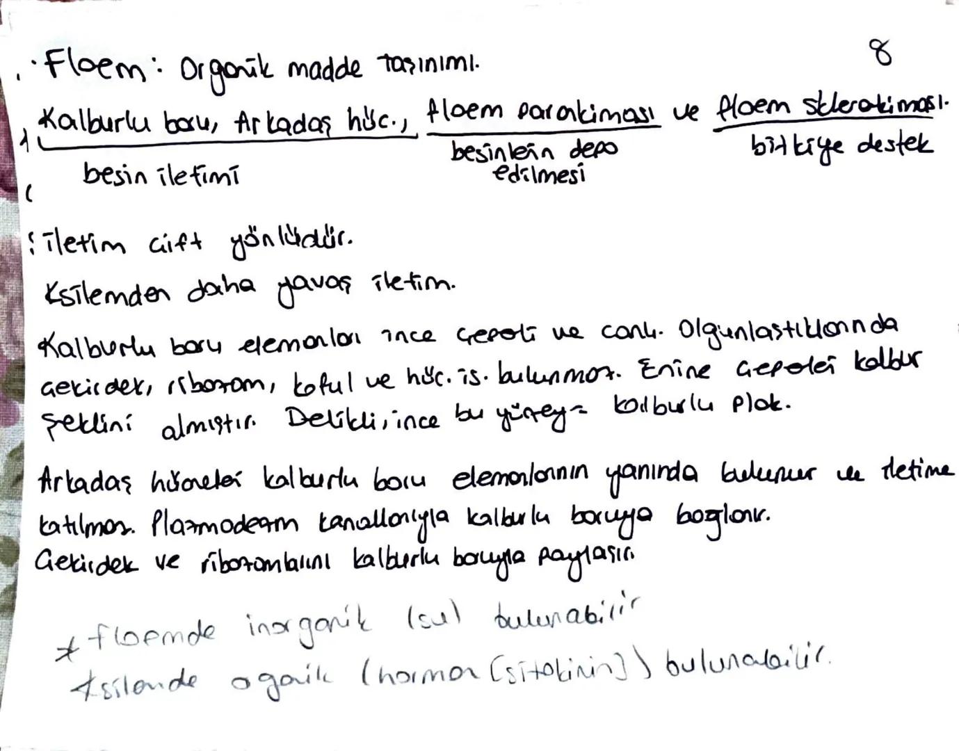 * Meristem doku bitkinin sınırsız büyümesini sağlar.
Temel doku, iletim doku, biti doku; meristemin, forklarma-
sıyla oluşur.
Ua meristem: B