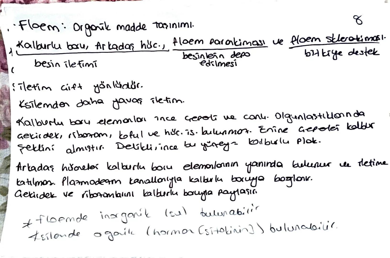 * Meristem doku bitkinin sınırsız büyümesini sağlar.
Temel doku, iletim doku, biti doku; meristemin, forklarma-
sıyla oluşur.
Ua meristem: B