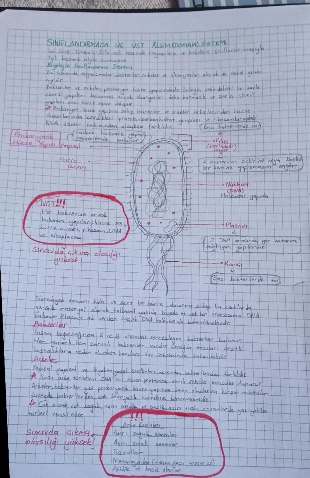 # SINIFLANDIRMADA ÜÇ UST ALEM (DOMAIN) SISTEMI

hal Stand Vitabu's Sifa adi eserinde hayvanlarım ve bitkilerin sonuflandeclenasıyla
ilgili k