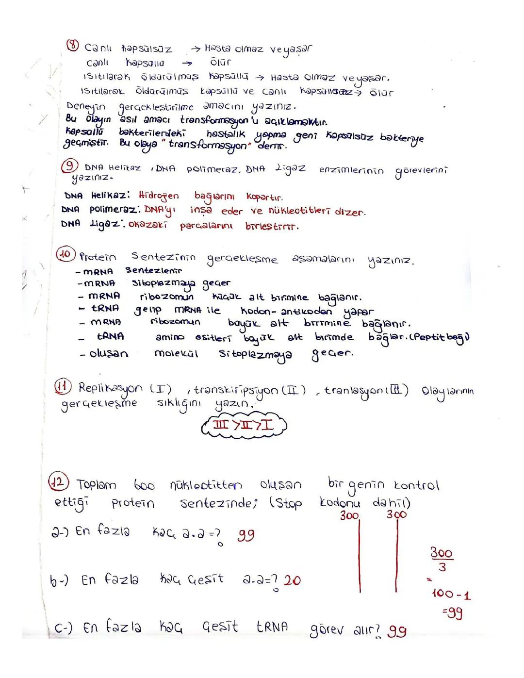 Sınav çalışma kağıdı 