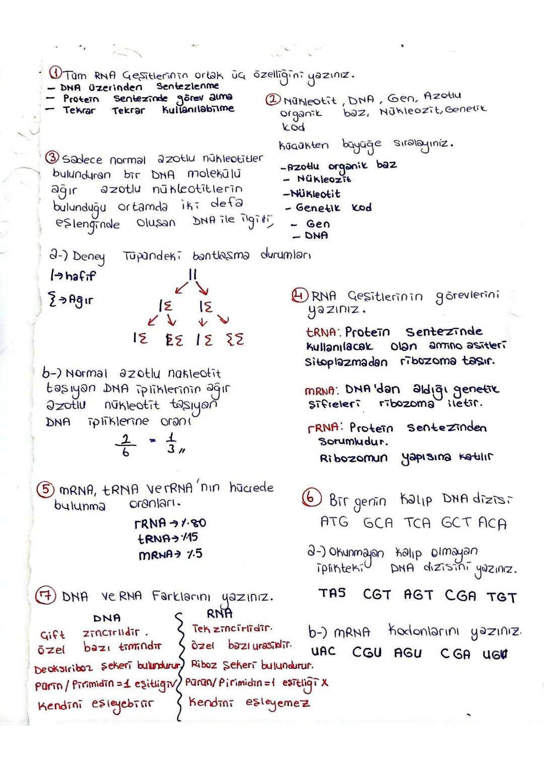 Canli kapsulsüz
canlı Kapsallu
Isıtılarak
Hasta olmaz ve
ve yaşar
ōlūr
Oldurulmuş kapsülly → Hasta Olmaz veyaşar.
Isıtılarak Öldürülmüş kaps