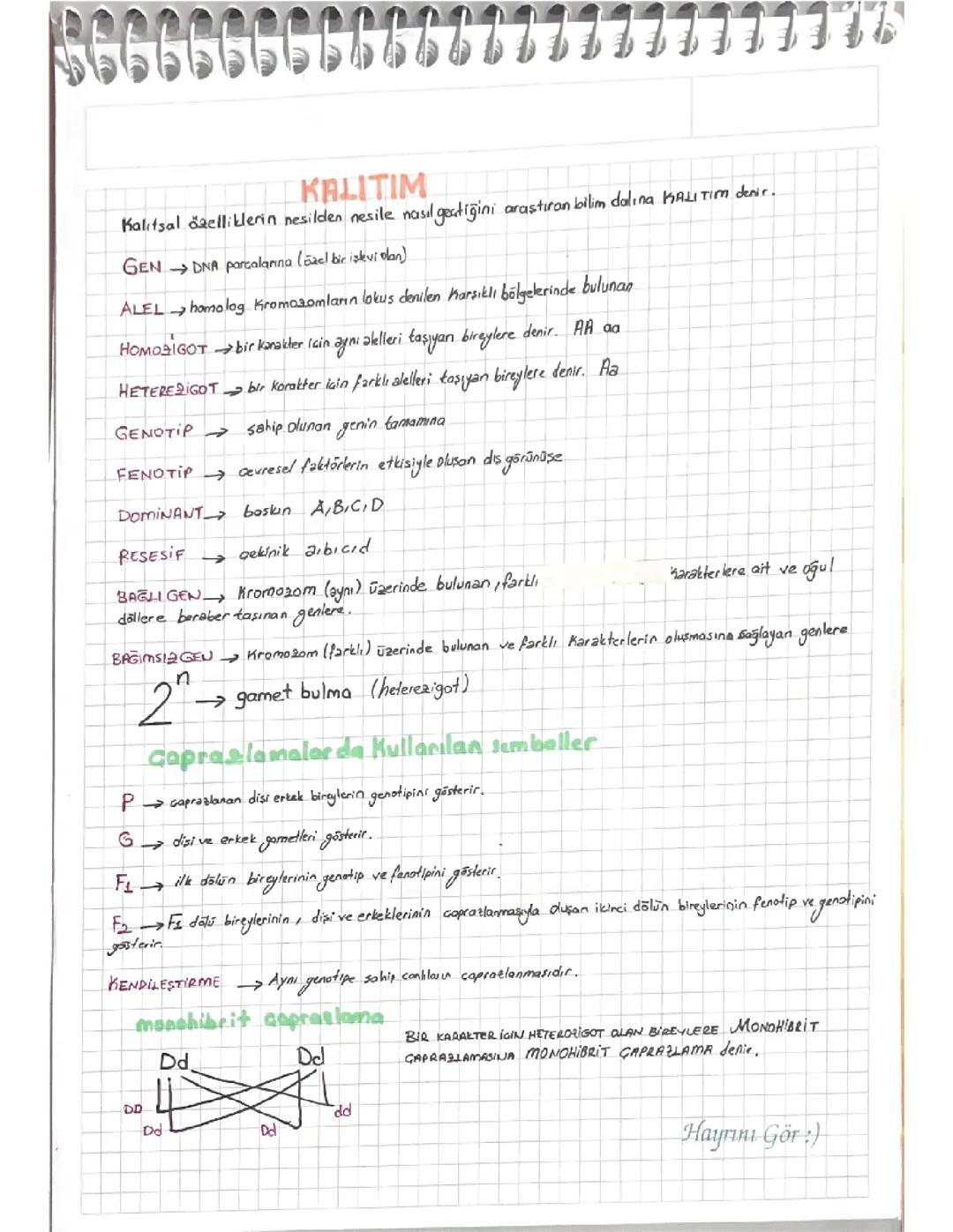 TYT Biyoloji Kalıtım Konusu Örnek Soruları ve Çözümleri
