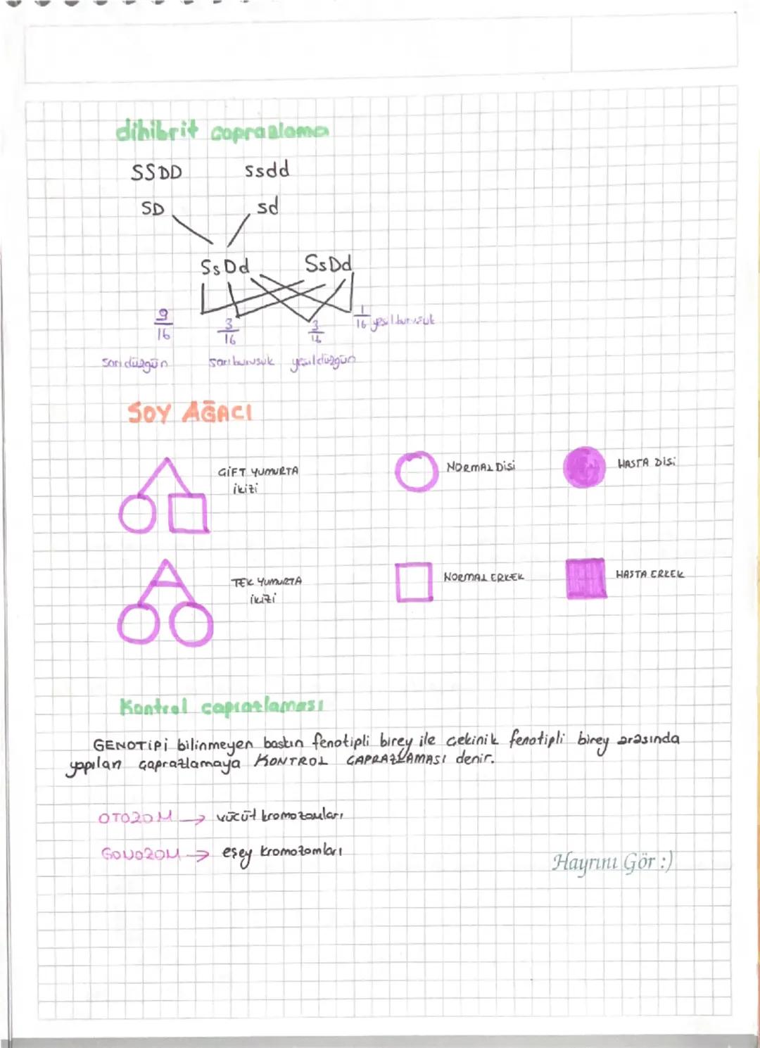 B G G G G G G G F C B B & Z
KALITIM
Kalitsal özelliklerin nesilden nesile nasıl geçtiğini araştıran bilim dalına KALITIM denir.
GEN DNA parç