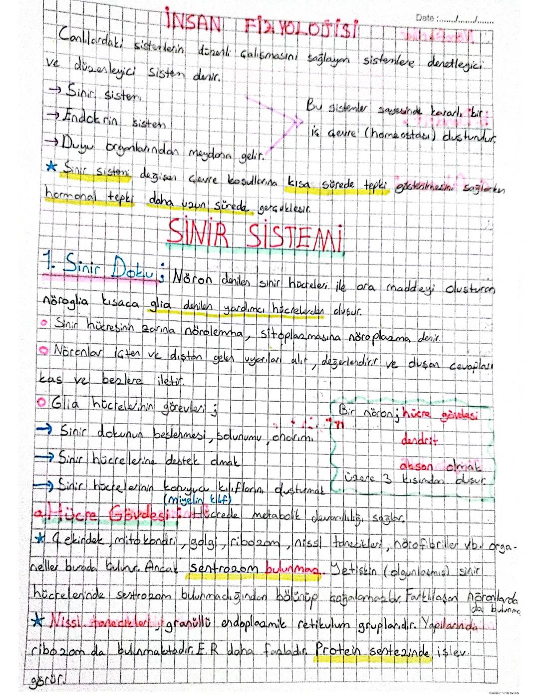 Ayt Biyoloji Sinir Sistemi 