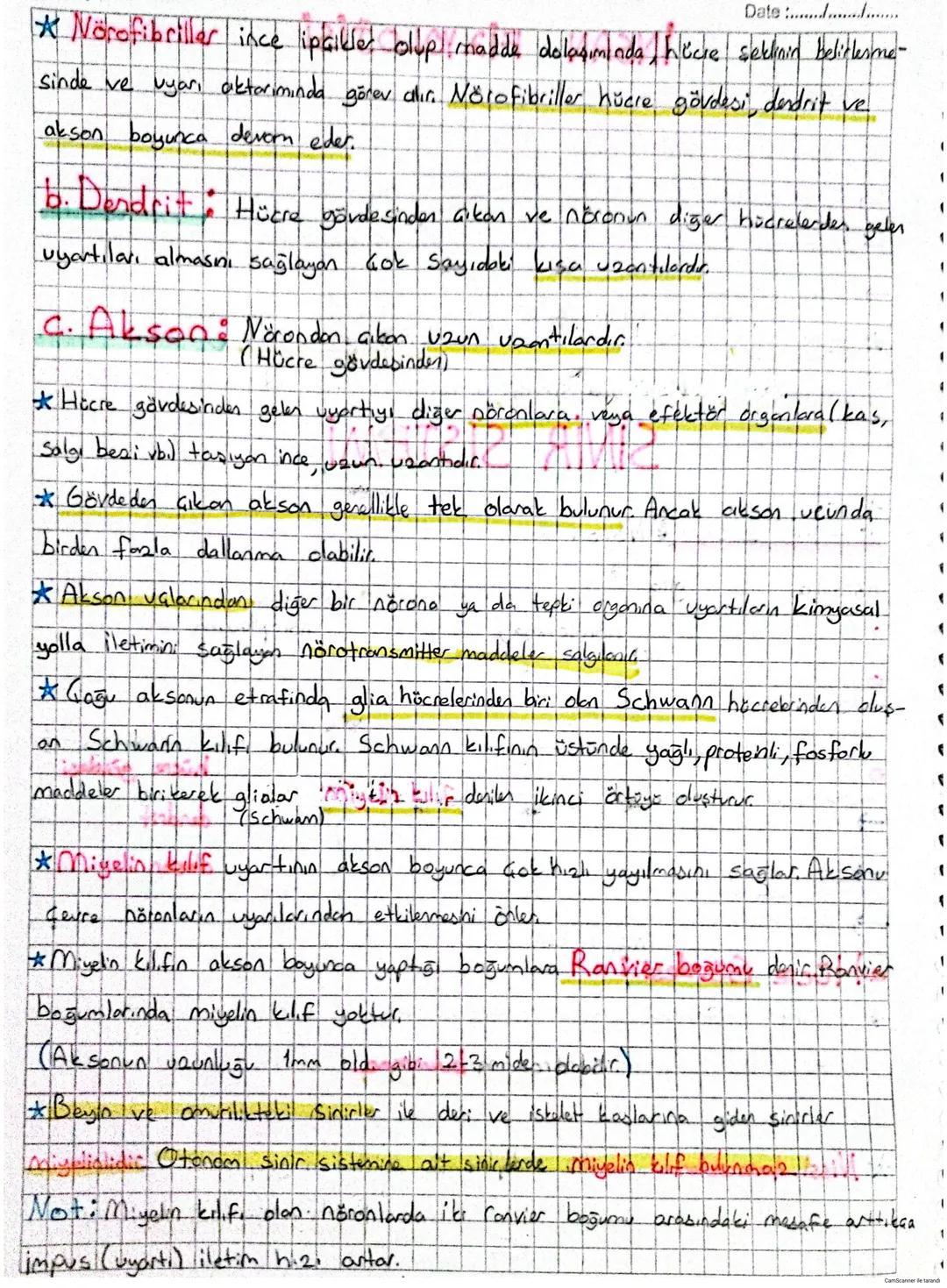 İNSAN FİYOLOJİSİ
Date .....
Canlılardaki sisterlerin düzenli Galismasini sağlayan sistemlere denetleyici
ve düzenleyici Sistem desic.
→ Sini