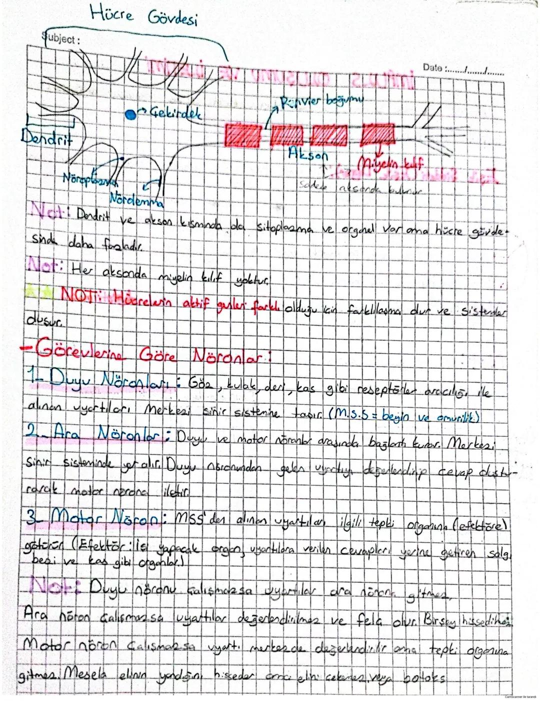 İNSAN FİYOLOJİSİ
Date .....
Canlılardaki sisterlerin düzenli Galismasini sağlayan sistemlere denetleyici
ve düzenleyici Sistem desic.
→ Sini