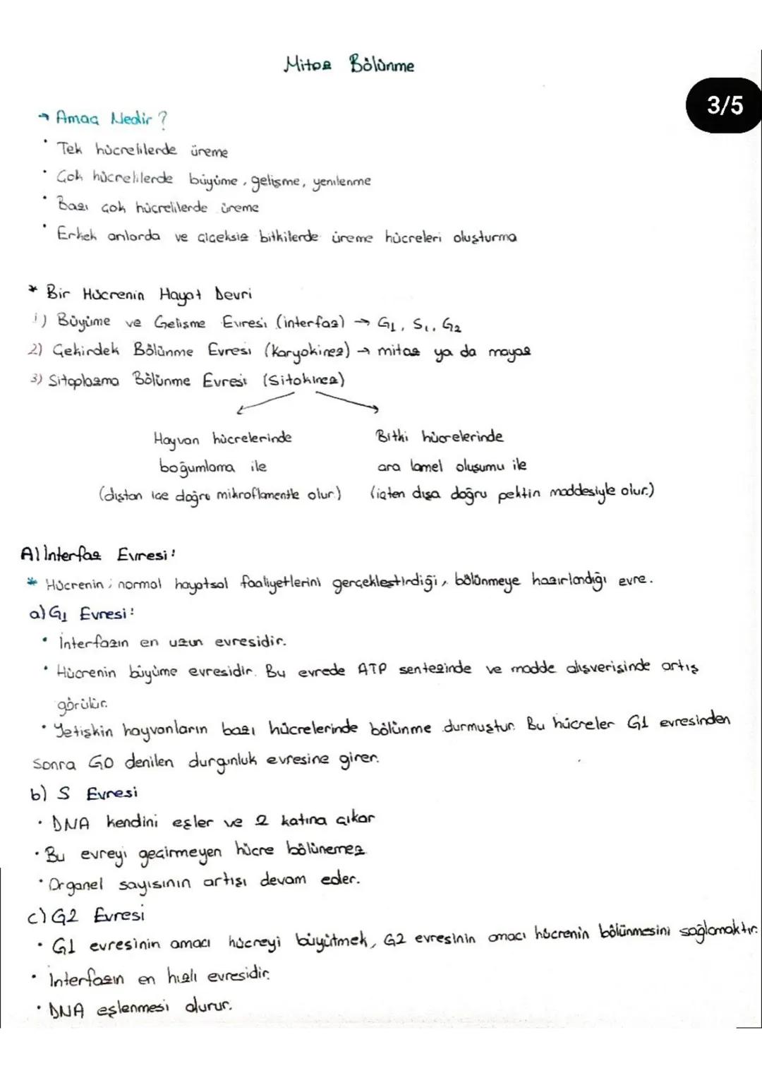 Mitos Bölünme
→ Amaa Nedir?
Tek hücrelilerde üreme
Gok hücrelilerde büyüme, gelişme, yenilenme
Bazı çok hücrelilerde üreme
Erkek anlarda ve 