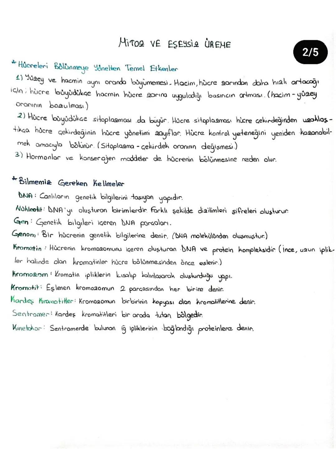 Mitos Bölünme
→ Amaa Nedir?
Tek hücrelilerde üreme
Gok hücrelilerde büyüme, gelişme, yenilenme
Bazı çok hücrelilerde üreme
Erkek anlarda ve 