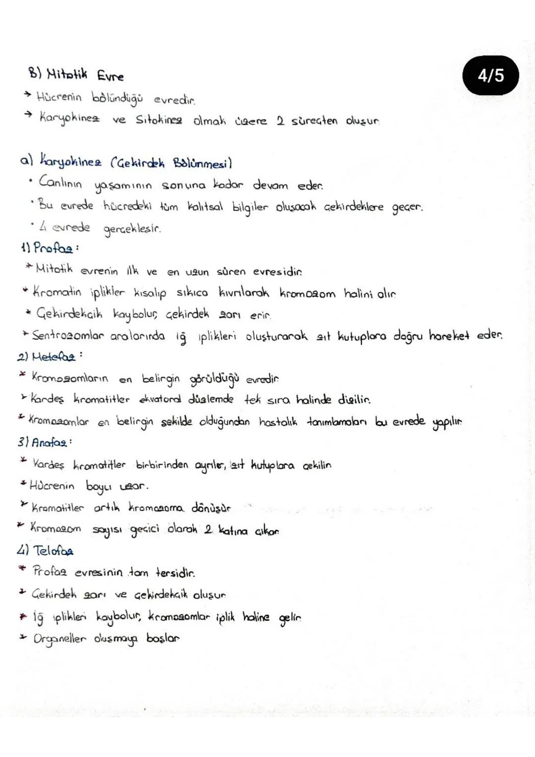 Mitos Bölünme
→ Amaa Nedir?
Tek hücrelilerde üreme
Gok hücrelilerde büyüme, gelişme, yenilenme
Bazı çok hücrelilerde üreme
Erkek anlarda ve 