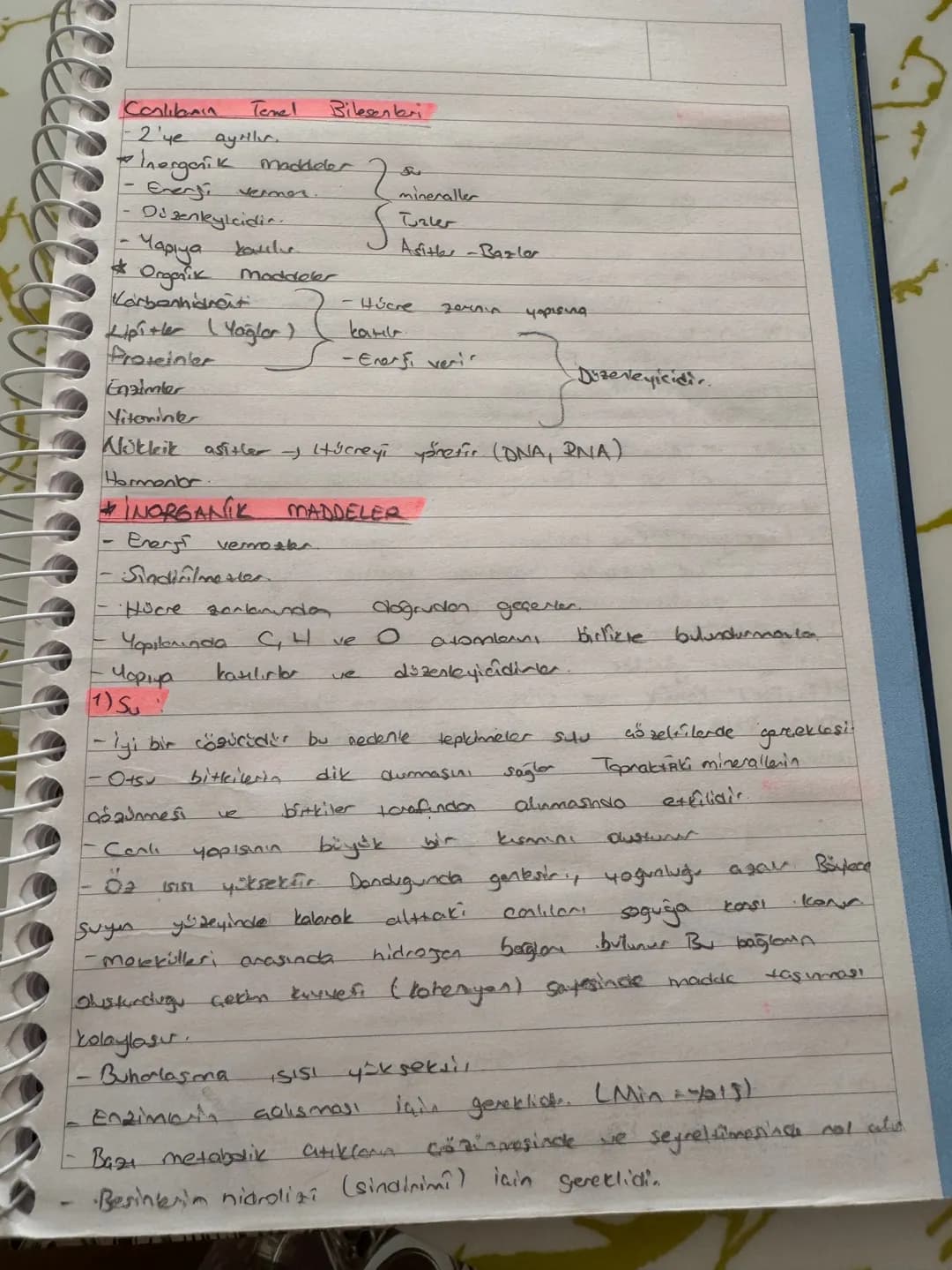 Conliknin
Temel
Bilesenleri
-2'ye ayrılı
Inorganik maddeler
Enerji
Yapıya
Organik
vermes
2
Sis
mineraller
Disenkeylcidia
S
Taler
Asitler-Baz