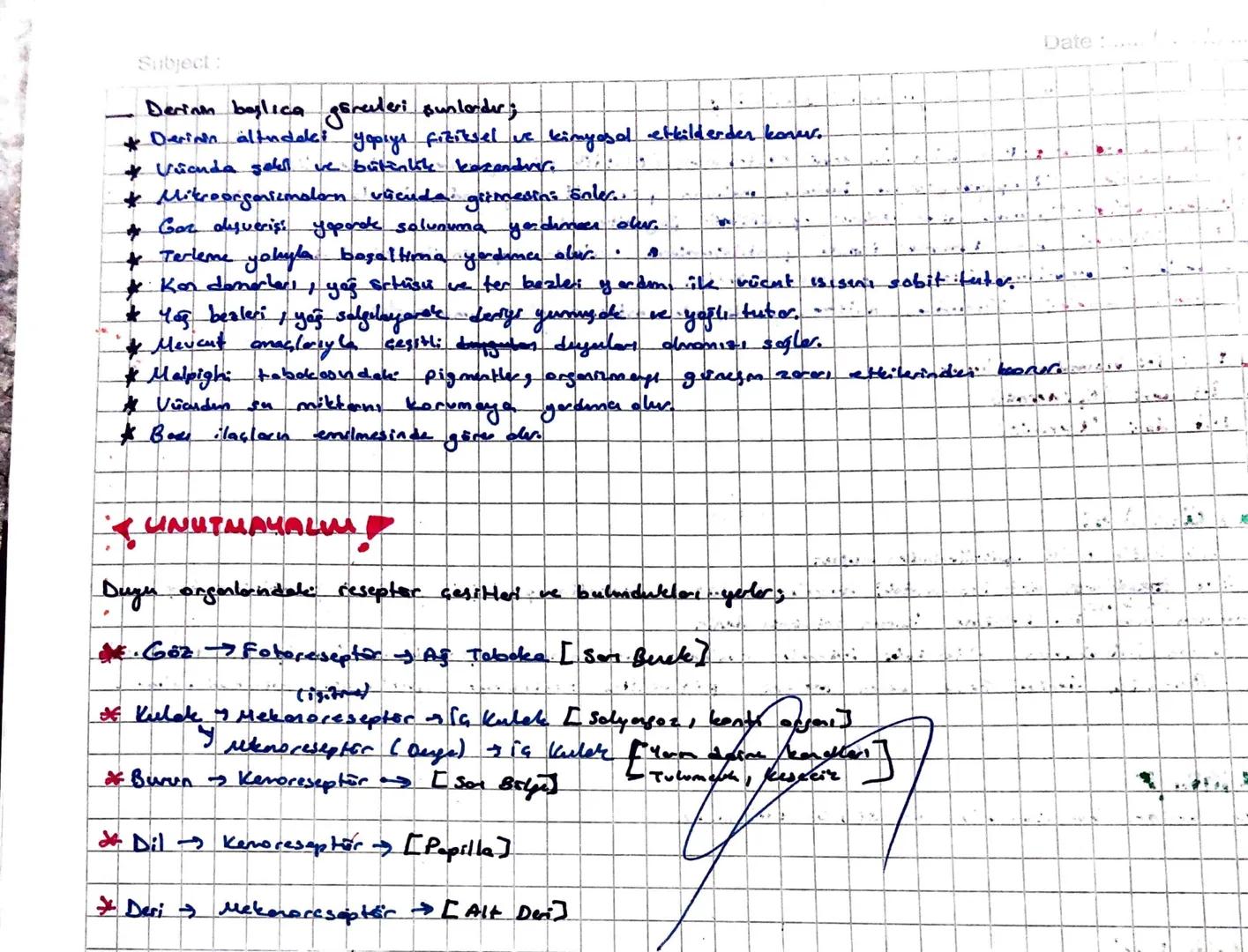 Subject:
#DERİ#
-Dokunma duyusu organider.
Yapısında ile çeşit doku bulunur.
(-) Epitel doku
2-) Bağ doku
Date
1-) EPITEL Doku...
Epitel dok