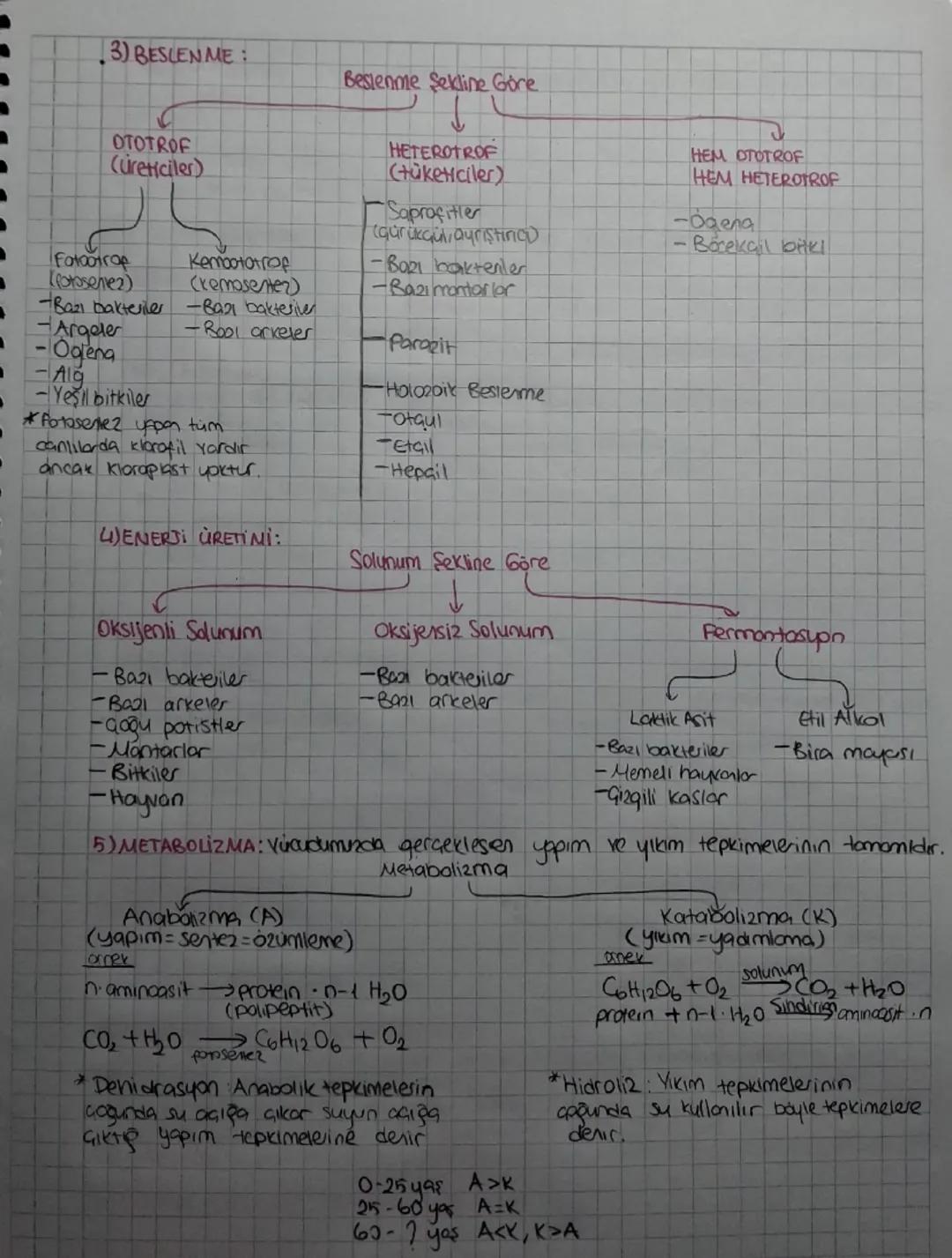 Biyo ―canli
BIVOLOJI
loji bilim
Biyolojinin Alt Dalları
Botanik-Bitki bilimi.
200loji = Hayvan bilimi
Sitoloji Hucre Geşitlerini ve özellikl