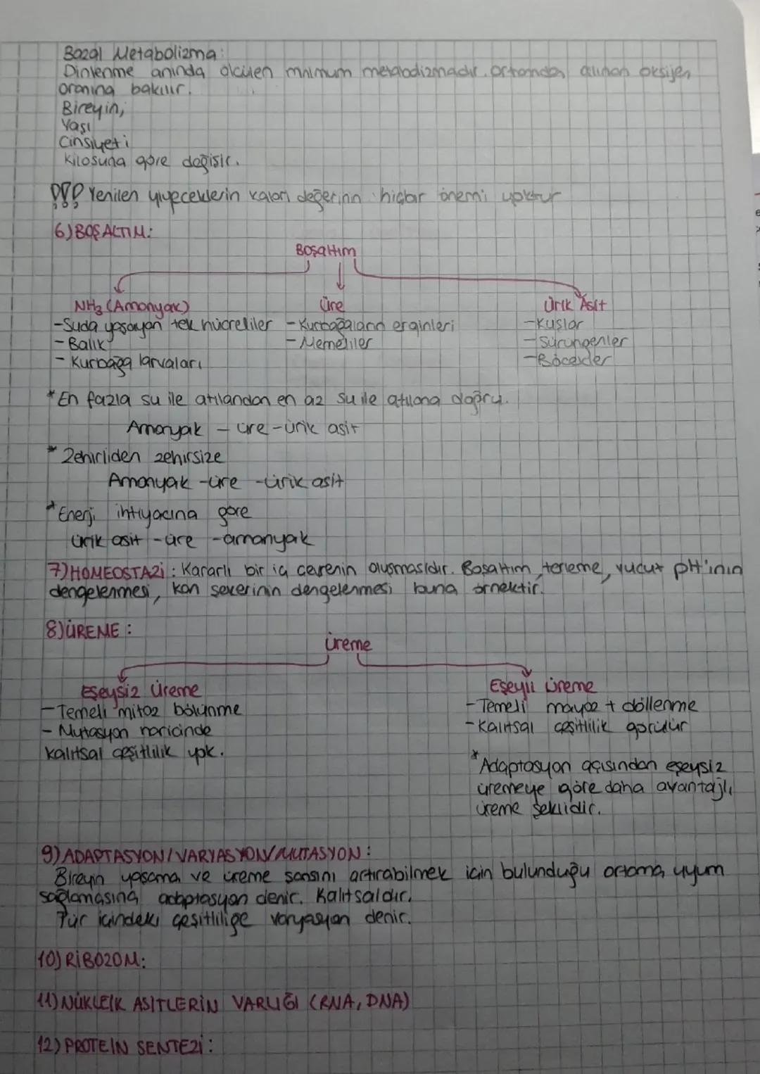Biyo ―canli
BIVOLOJI
loji bilim
Biyolojinin Alt Dalları
Botanik-Bitki bilimi.
200loji = Hayvan bilimi
Sitoloji Hucre Geşitlerini ve özellikl