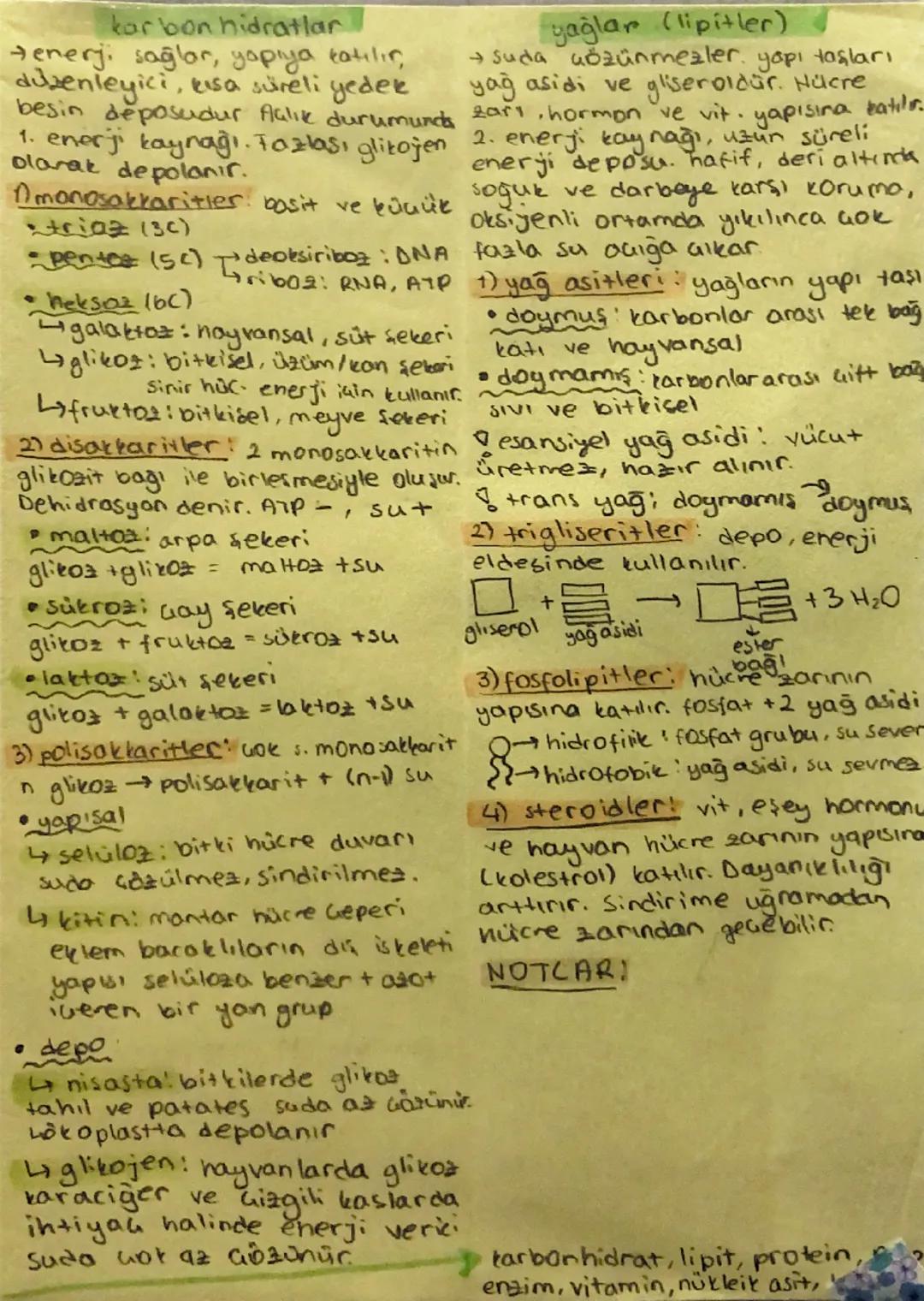 # Cankların ortak özellikleri

inorganik biledikler
→ canlılar tarafından üretilmez

1) hücresel yapı
→ ve Hasomları birlikte, düzenleyici
y