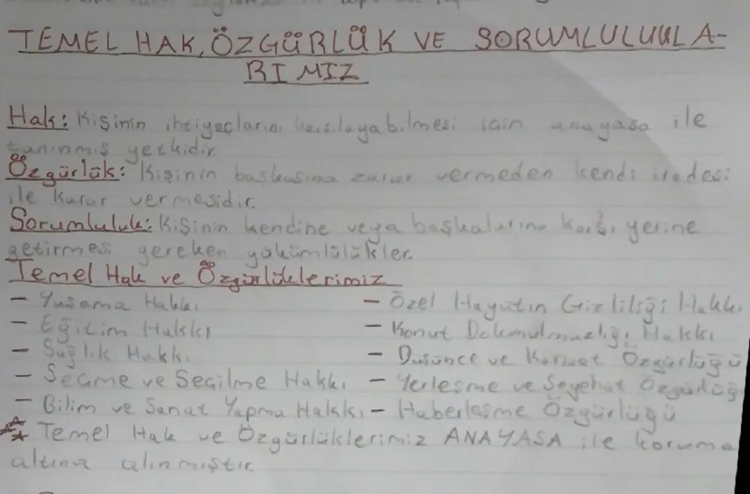 Temel Hak, Özgürlük ve Sorumluluklarımız 