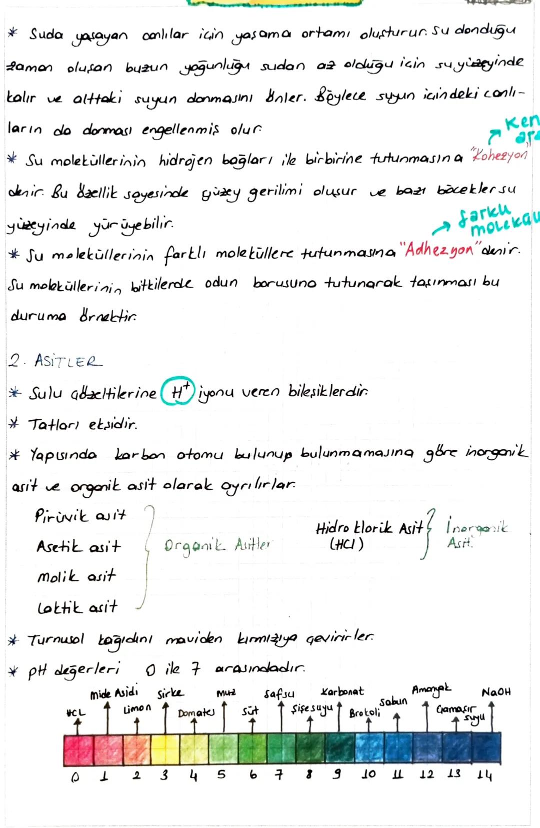 A) INORGANIK BİLEŞİKLER
* Canlılar tarafından sentezlenemezler. Disaridan hazır olarak alınırlar.
* Sindirime uğramazlar
* Hücre sarından do