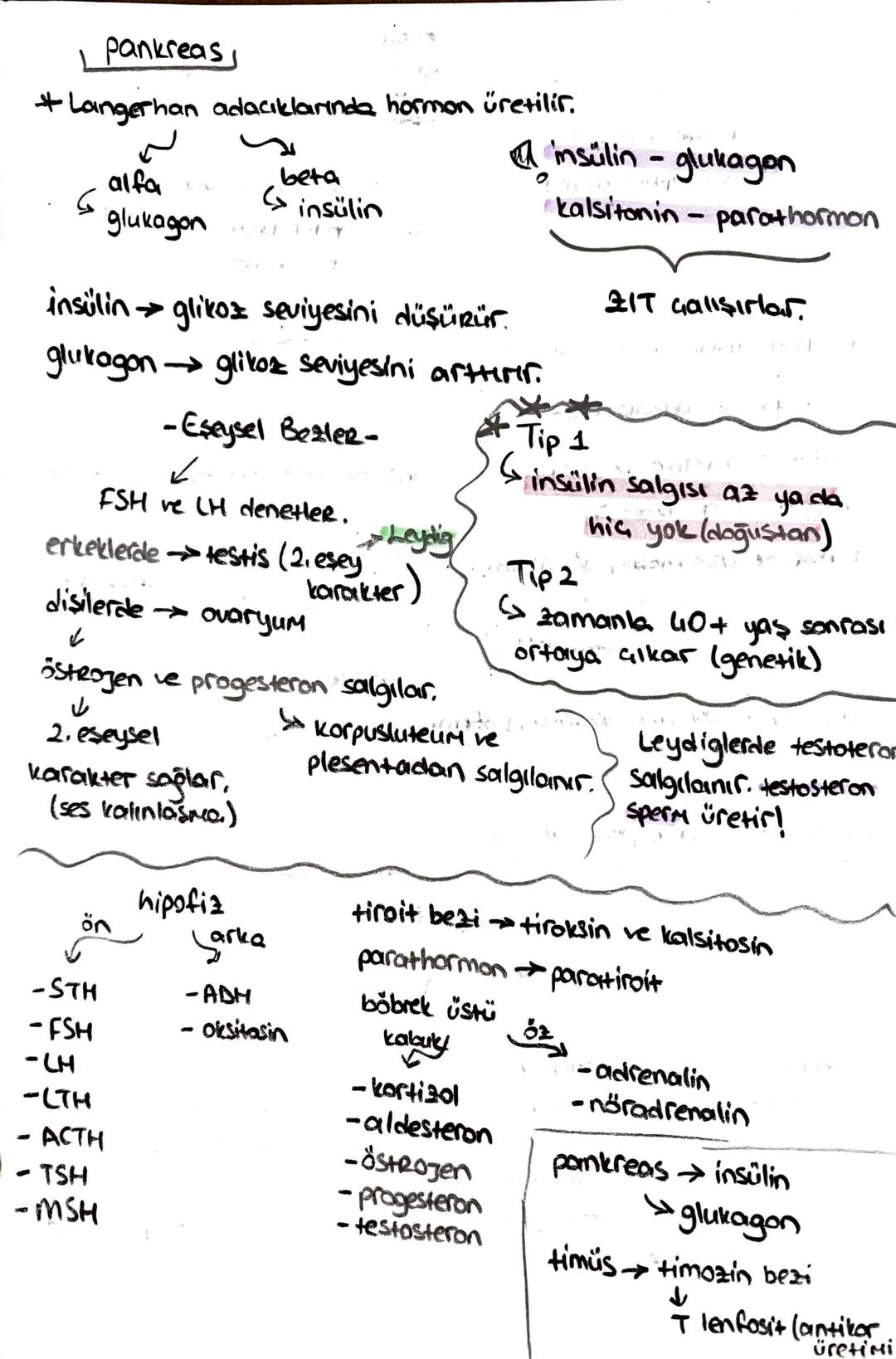 -safra kesesi -
* Safra SIVISINI depolar.
* kolesistokinin 12 parmak bağırsağı
üretir.
içinde;
-51
- kolesterol
-Safra pigmenti - safra Hızl