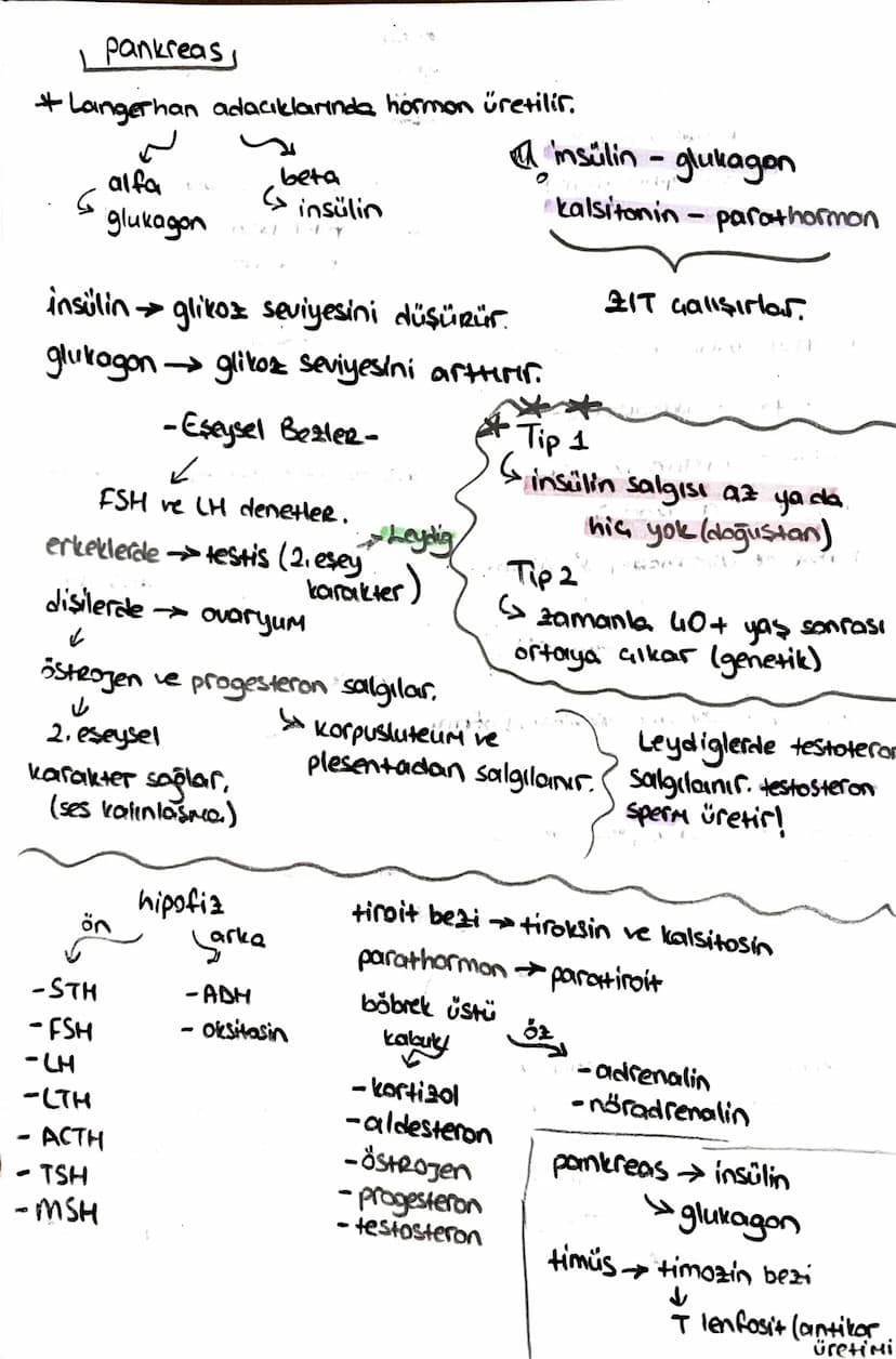 -safra kesesi -
* Safra SIVISINI depolar.
* kolesistokinin 12 parmak bağırsağı
üretir.
içinde;
-51
- kolesterol
-Safra pigmenti - safra Hızl