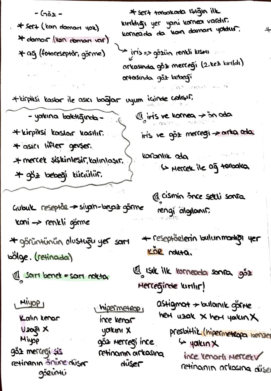 -safra kesesi -
* Safra SIVISINI depolar.
* kolesistokinin 12 parmak bağırsağı
üretir.
içinde;
-51
- kolesterol
-Safra pigmenti - safra Hızl